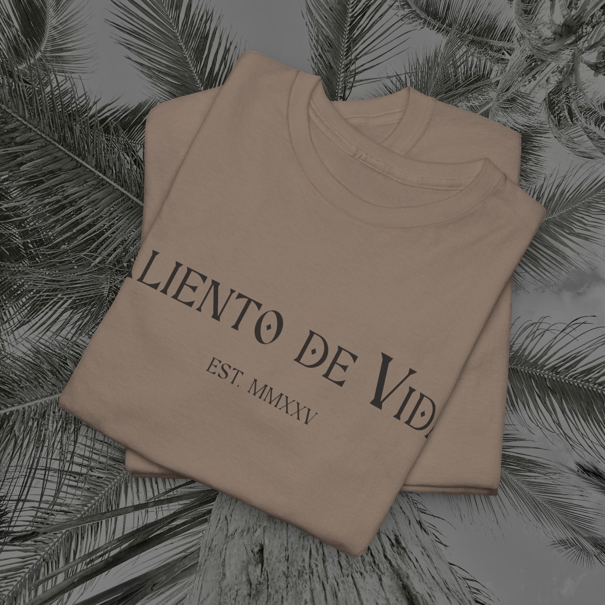 Climbing To New Heights - (UNISEX) Heavy Cotton T-Shirt - Aliento De Vida