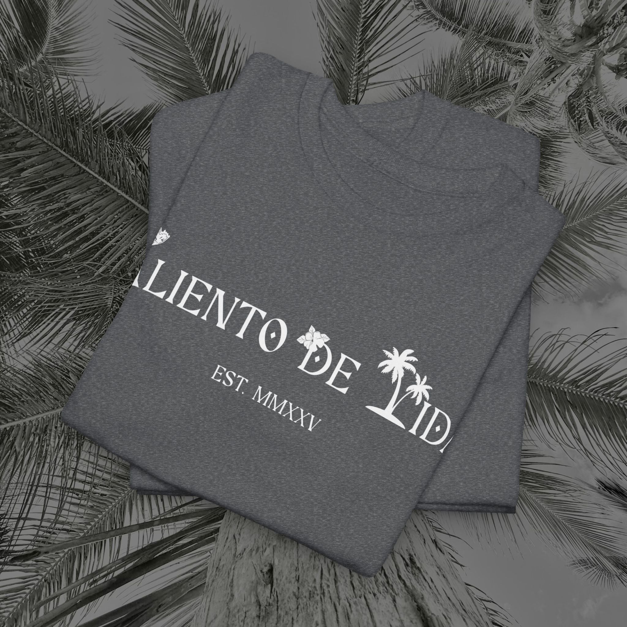 Island Cruiser - PR COLLECTION - (UNISEX) Heavy Cotton Tee - Aliento De Vida