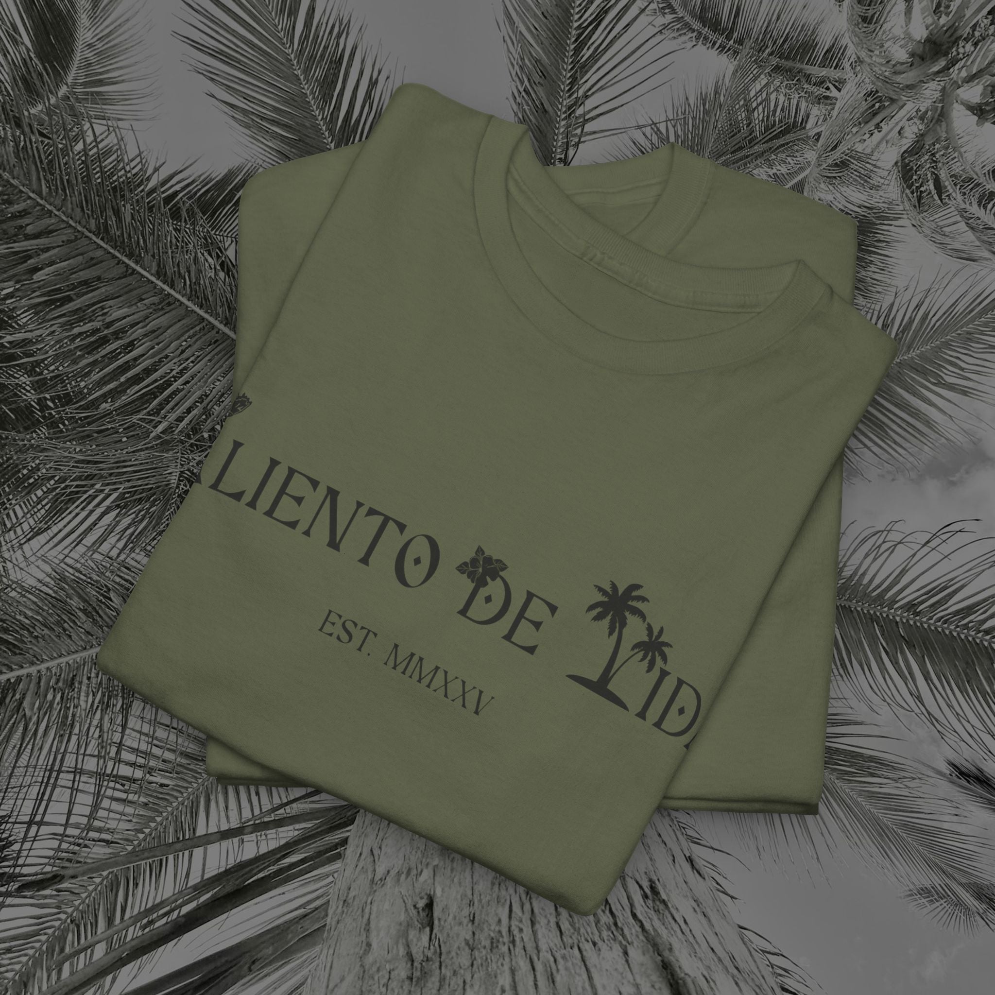 Coqui Crazy - PR COLLECTION - (UNISEX) Heavy Cotton Tee - Aliento De Vida