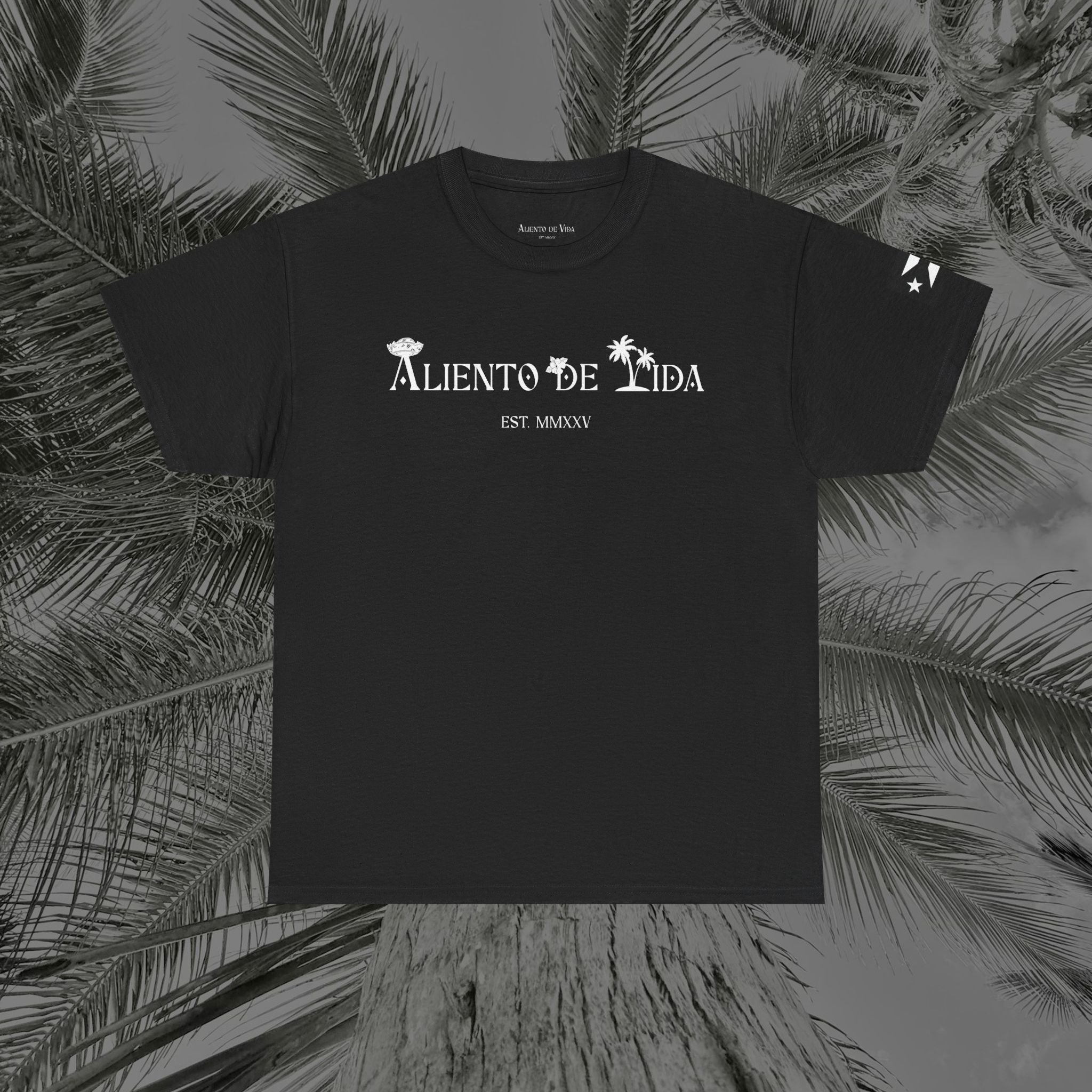 Coqui Love V2 - PR COLLECTION - (UNISEX) Heavy Cotton Tee - Aliento De Vida