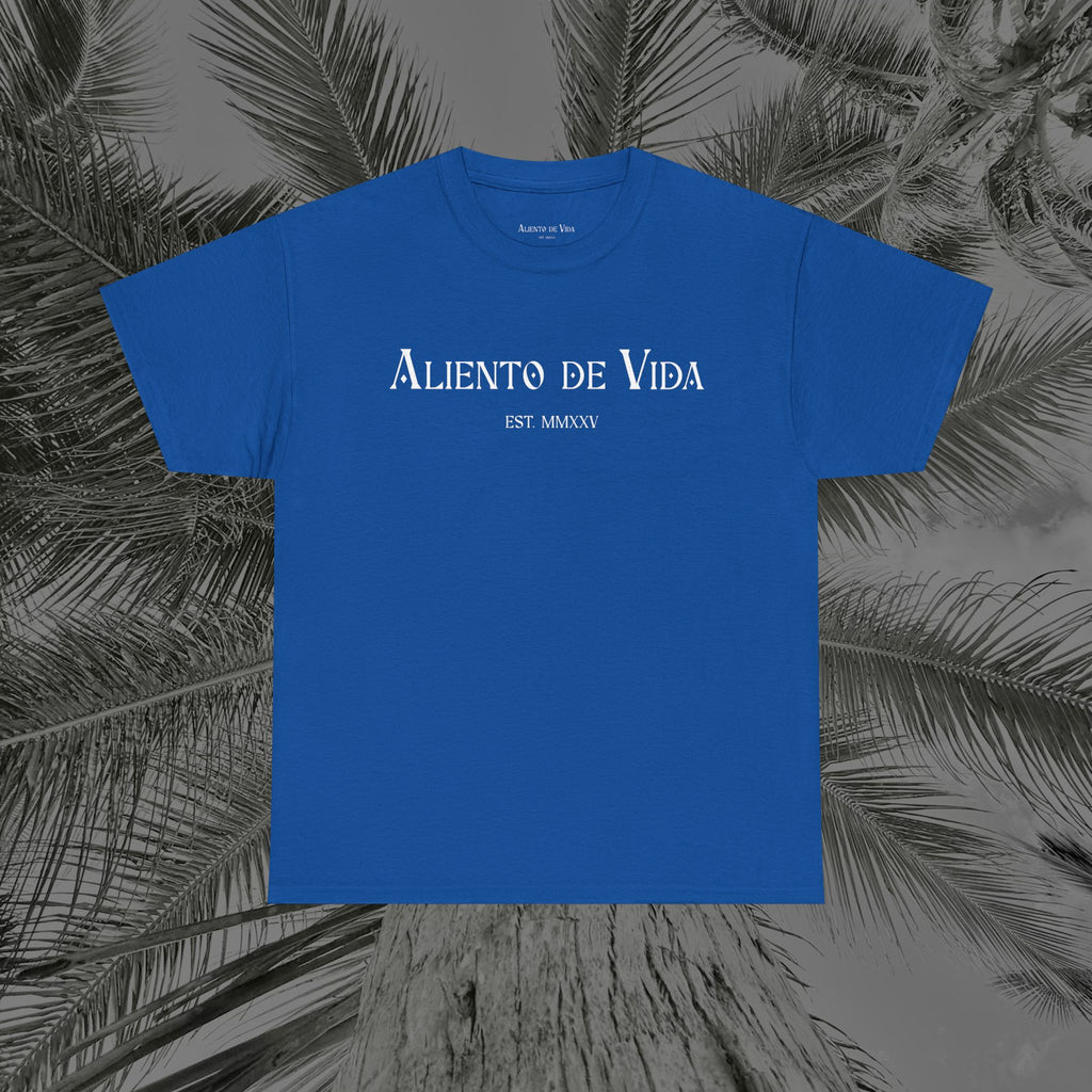 Throne of the Divine - (UNSEX) Heavy Cotton T-Shirt - Aliento De Vida