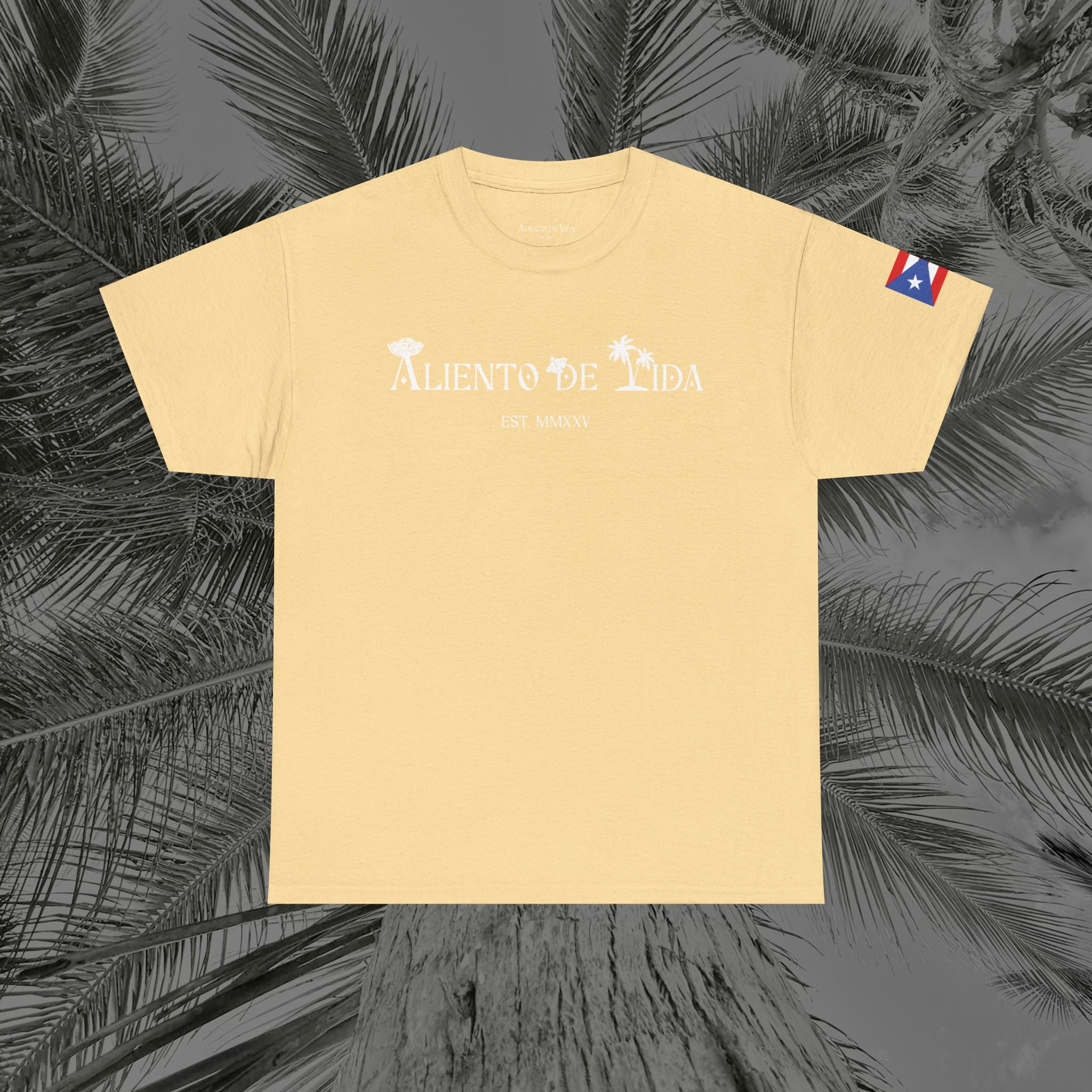 Island Cruiser - PR COLLECTION - (UNISEX) Heavy Cotton Tee - Aliento De Vida