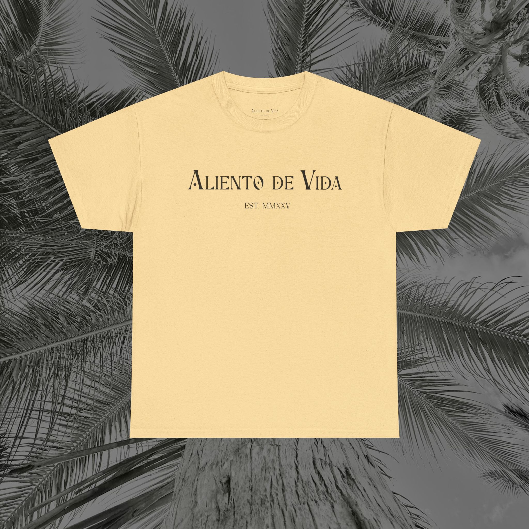 Climbing To New Heights - (UNISEX) Heavy Cotton T-Shirt - Aliento De Vida