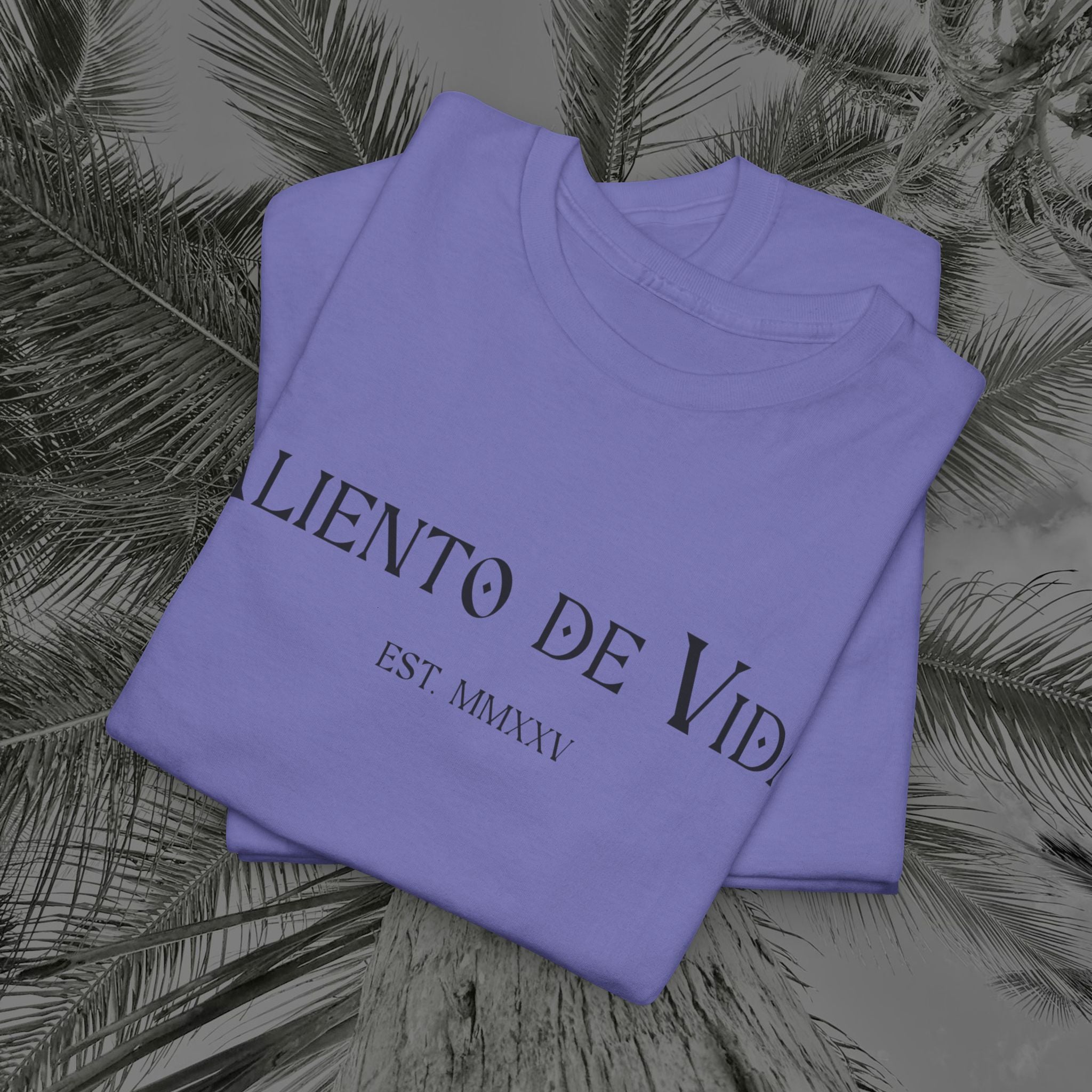 Wings of Grace - Back Design - Heavy Cotton Tee - Aliento De Vida
