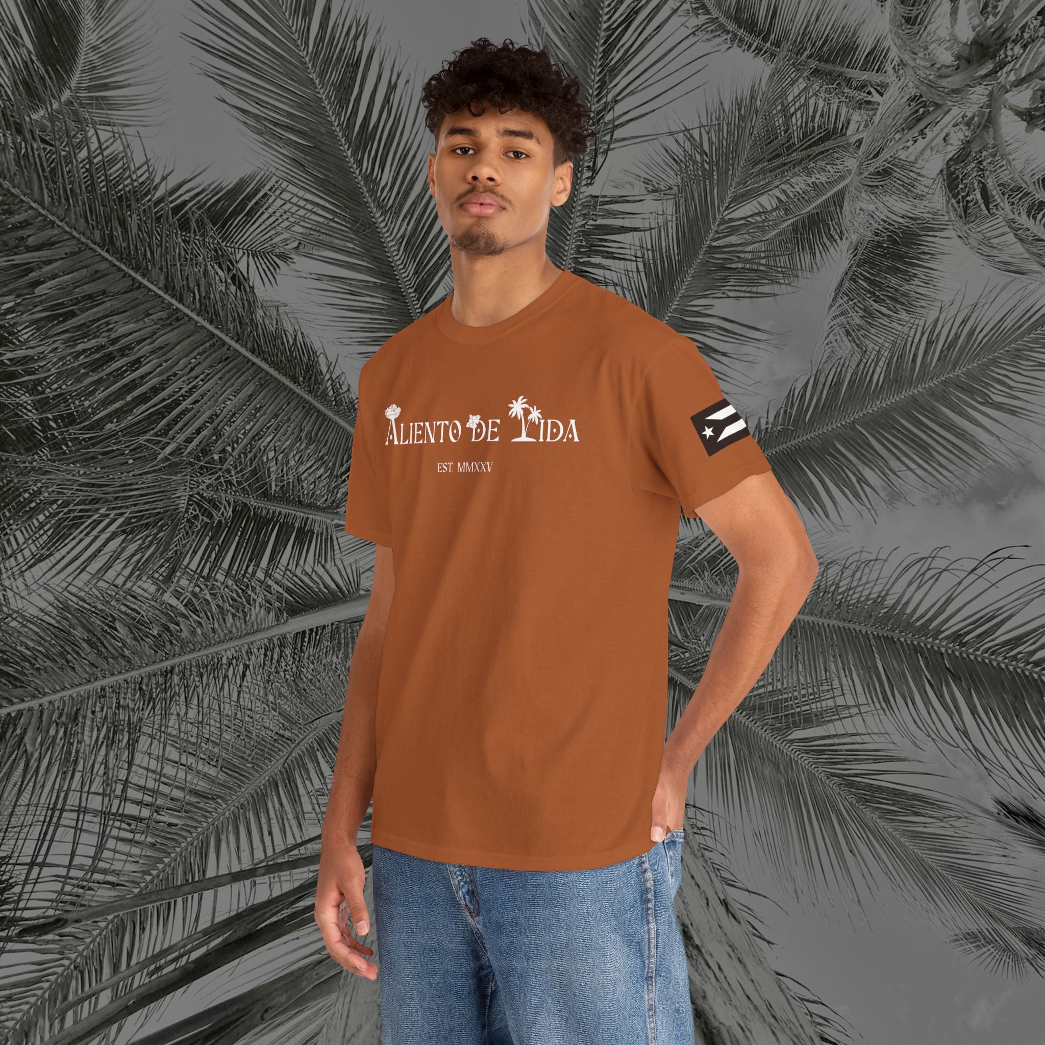 Coqui Love V2 - PR COLLECTION - (UNISEX) Heavy Cotton Tee - Aliento De Vida