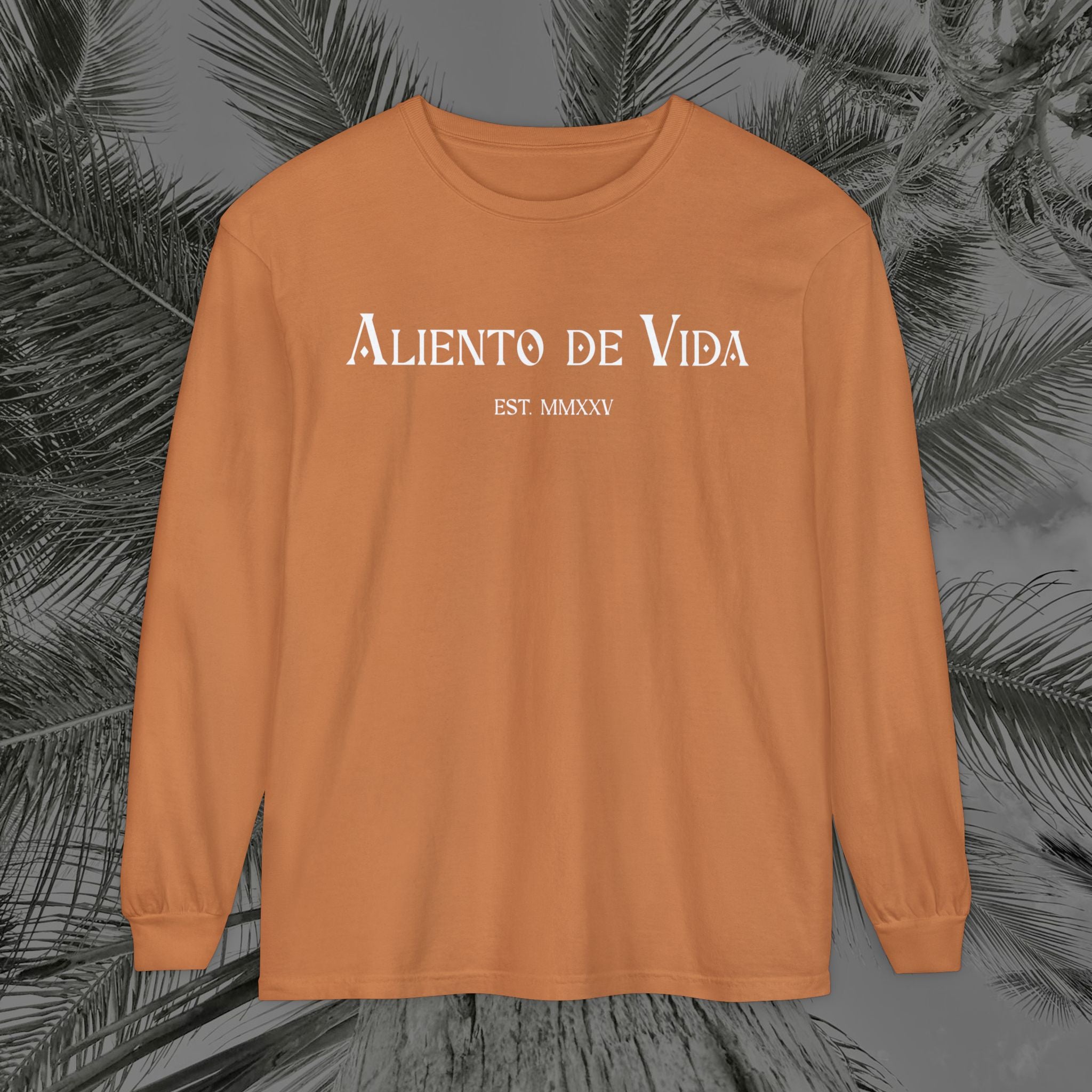 Throne of the Divine - (UNISEX) Long Sleeve Shirt - Aliento De Vida