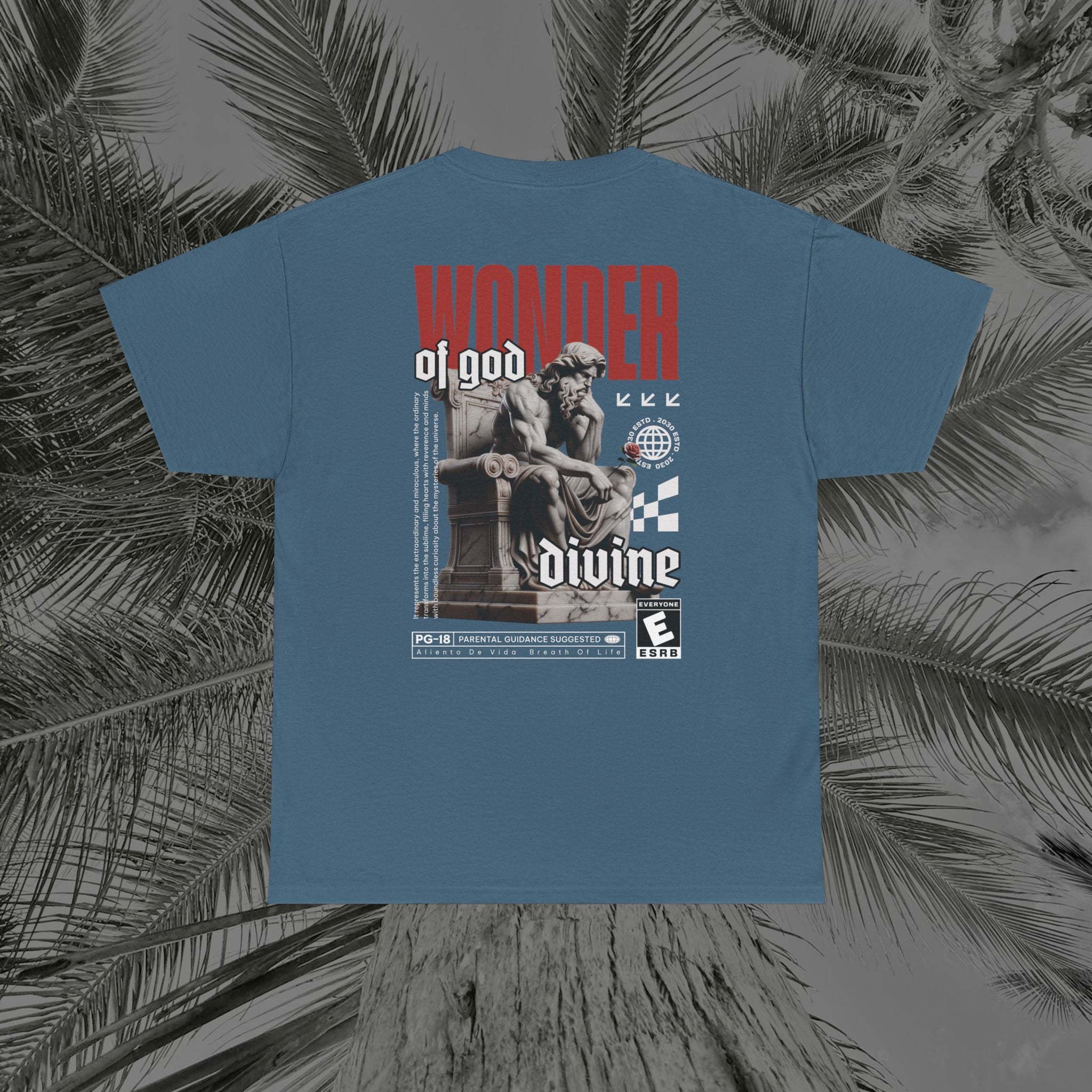 Throne of the Divine - (UNSEX) Heavy Cotton T-Shirt - Aliento De Vida