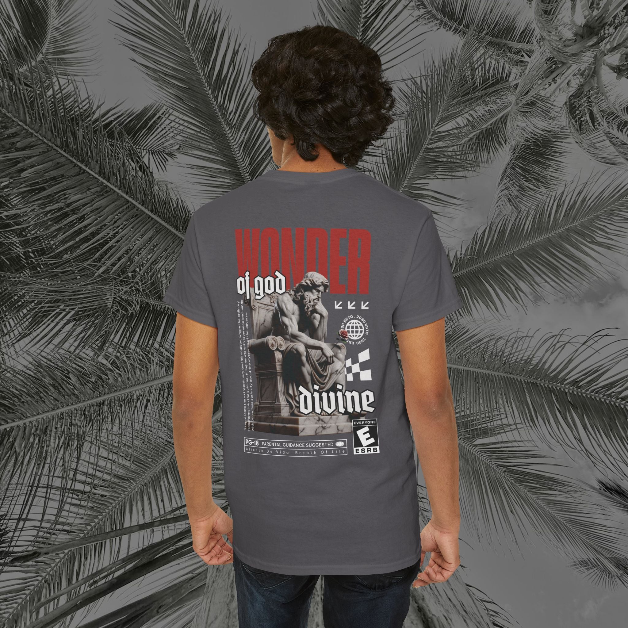 Throne of the Divine - (UNSEX) Heavy Cotton T-Shirt - Aliento De Vida