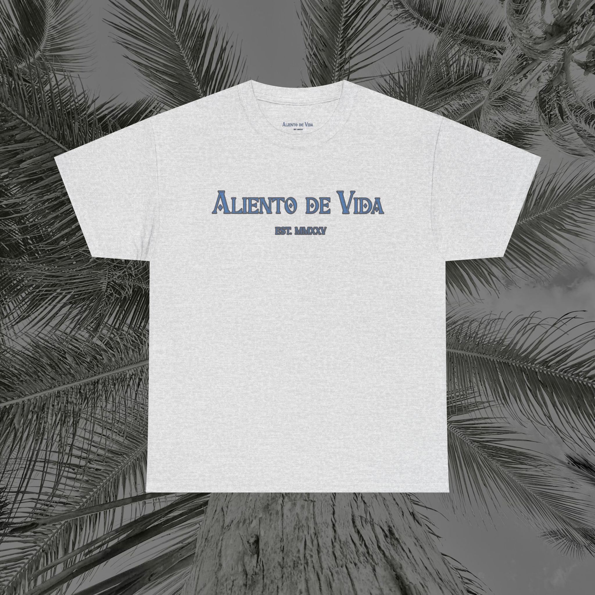 Always Pray - (UNISEX) Heavy Cotton Tee - Aliento De Vida