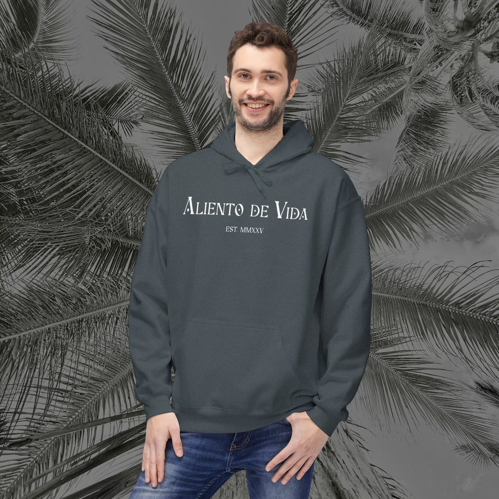 Throne of the Divine - (UNISEX) Midweight Fleece Hoodie - Aliento De Vida