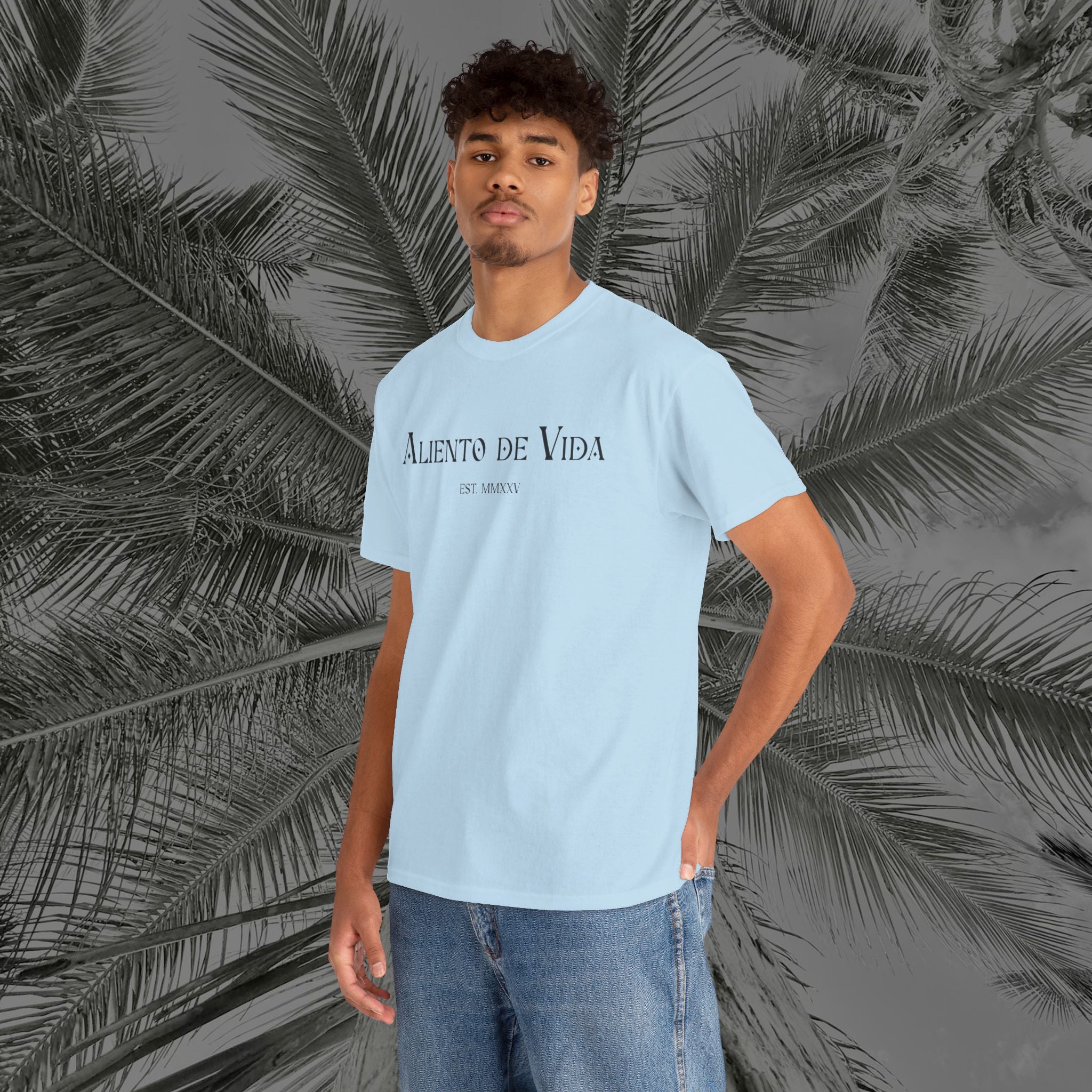 Wings of Grace - Back Design - Heavy Cotton Tee - Aliento De Vida