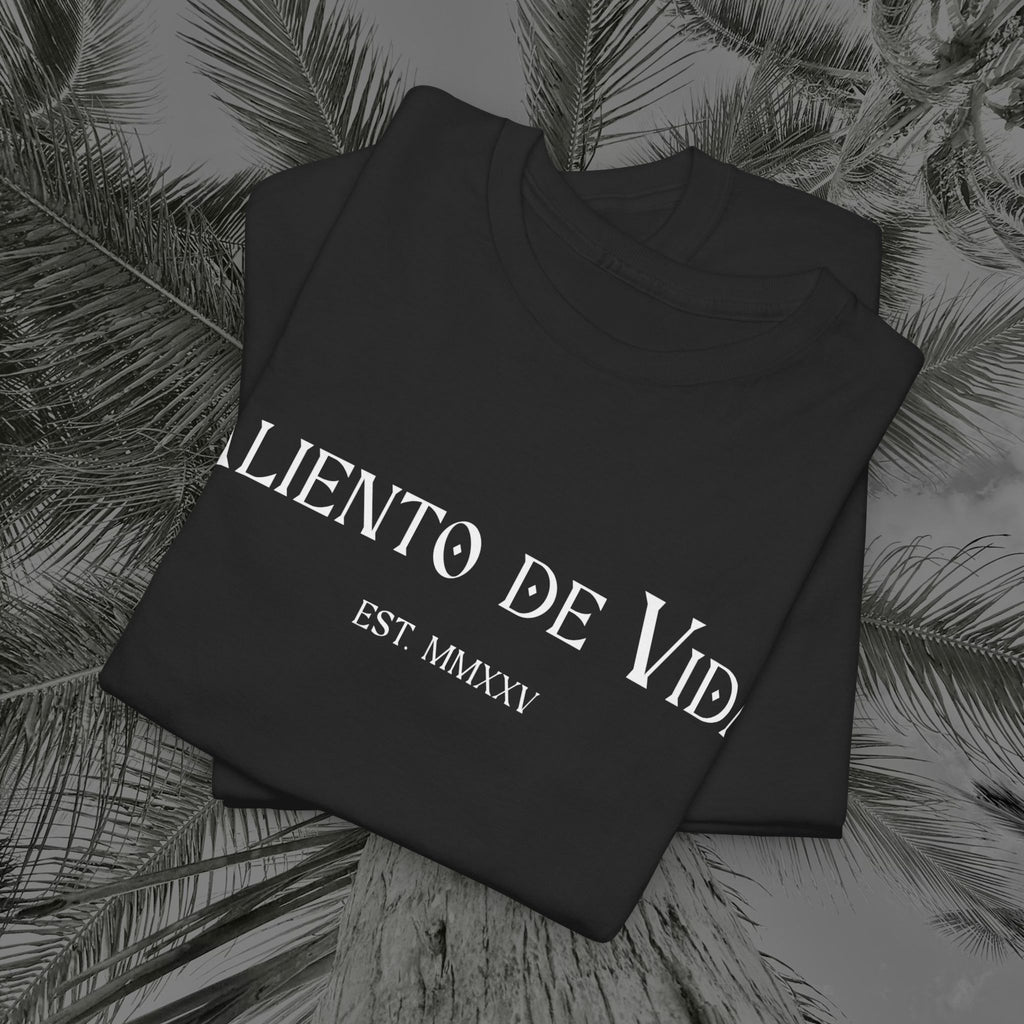 Throne of the Divine - (UNSEX) Heavy Cotton T-Shirt - Aliento De Vida