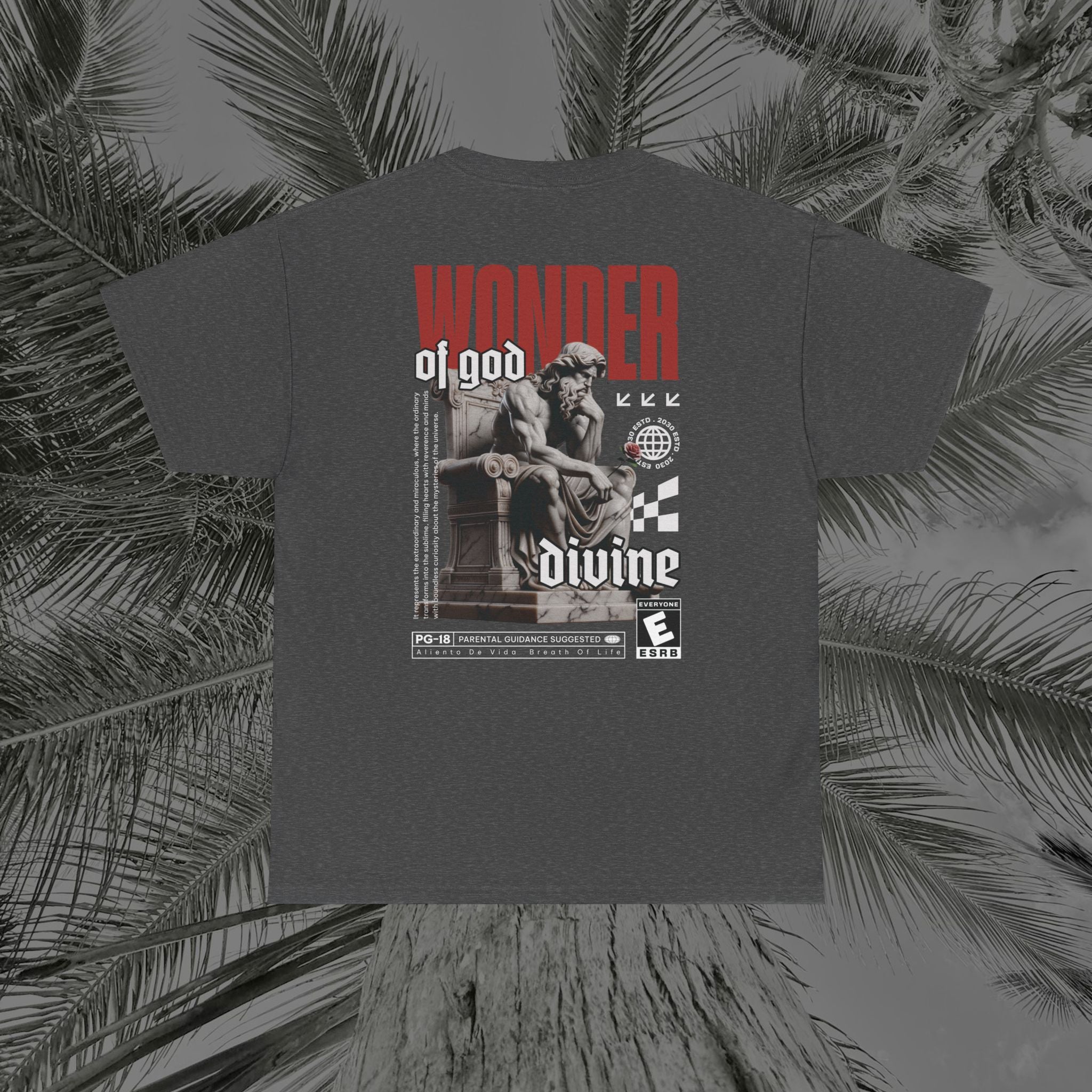 Throne of the Divine - (UNSEX) Heavy Cotton T-Shirt - Aliento De Vida