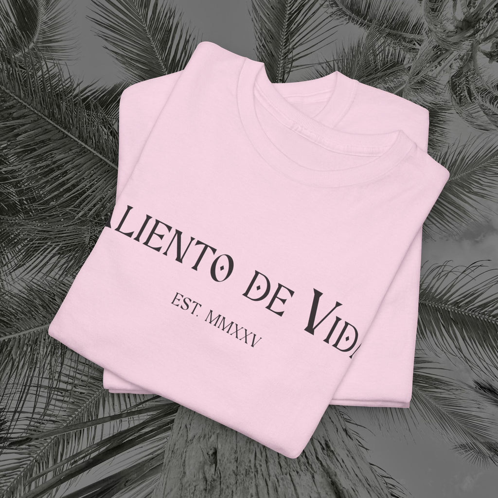 Wings of Grace - Back Design - Heavy Cotton Tee - Aliento De Vida