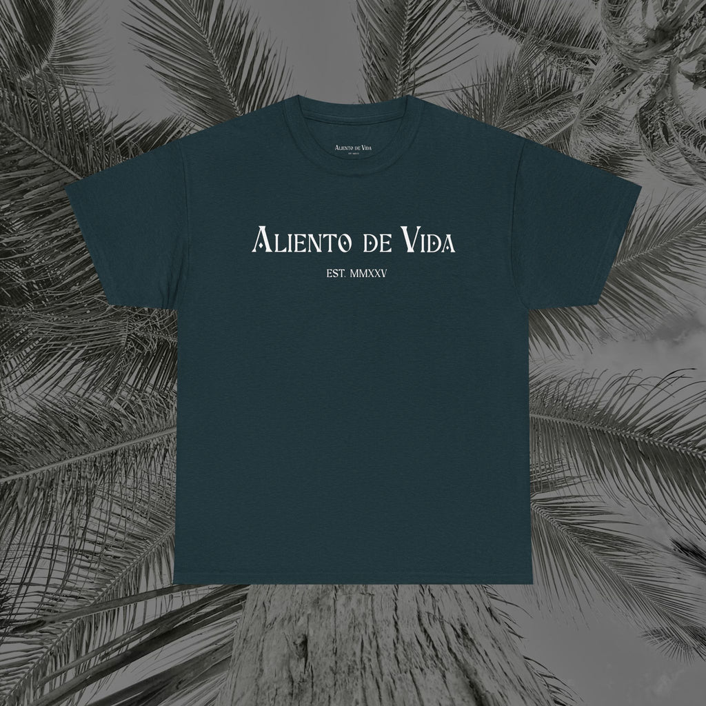 Resting Beach Face - (UNISEX) Heavy Cotton Tee - Aliento De Vida
