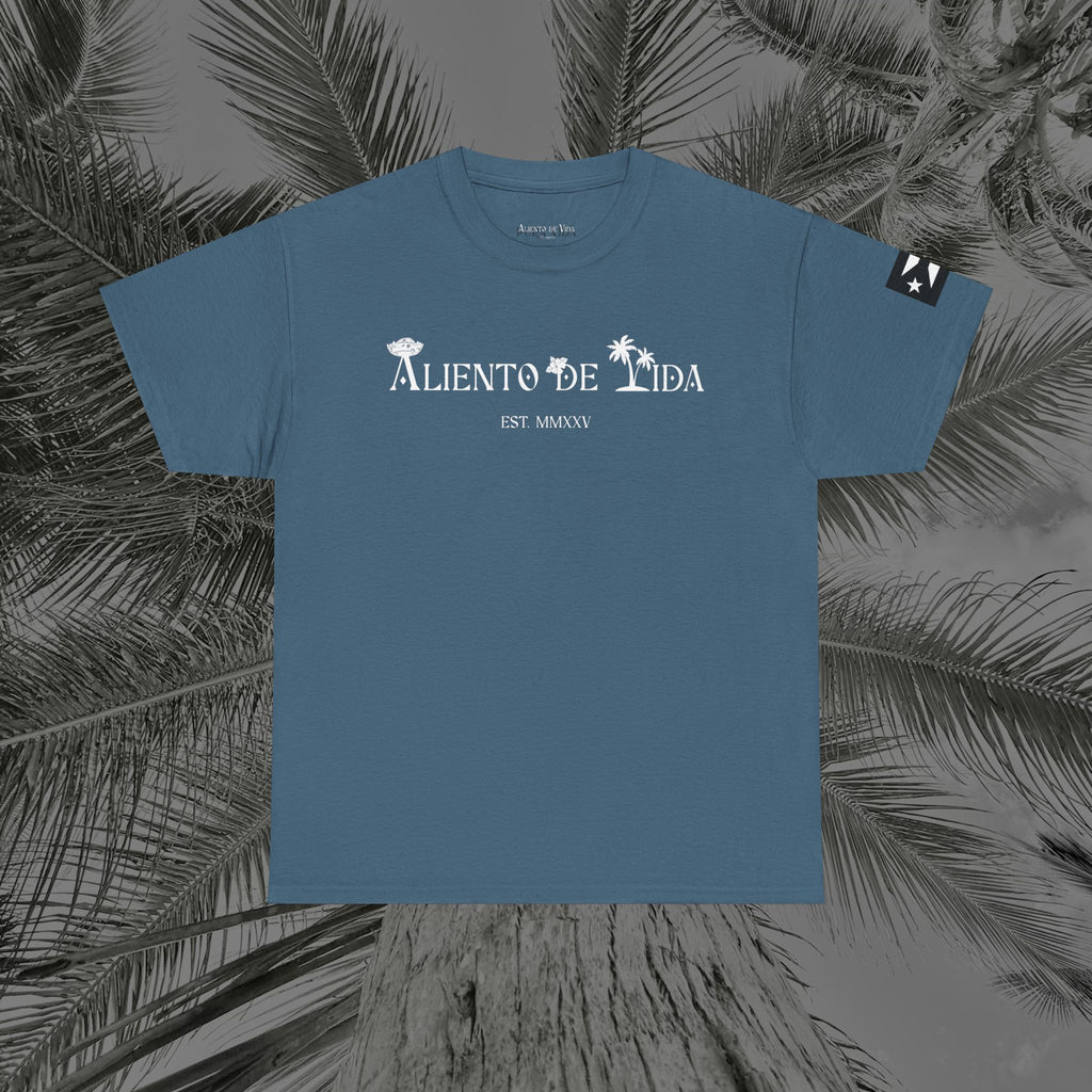 Coqui Love V2 - PR COLLECTION - (UNISEX) Heavy Cotton Tee - Aliento De Vida
