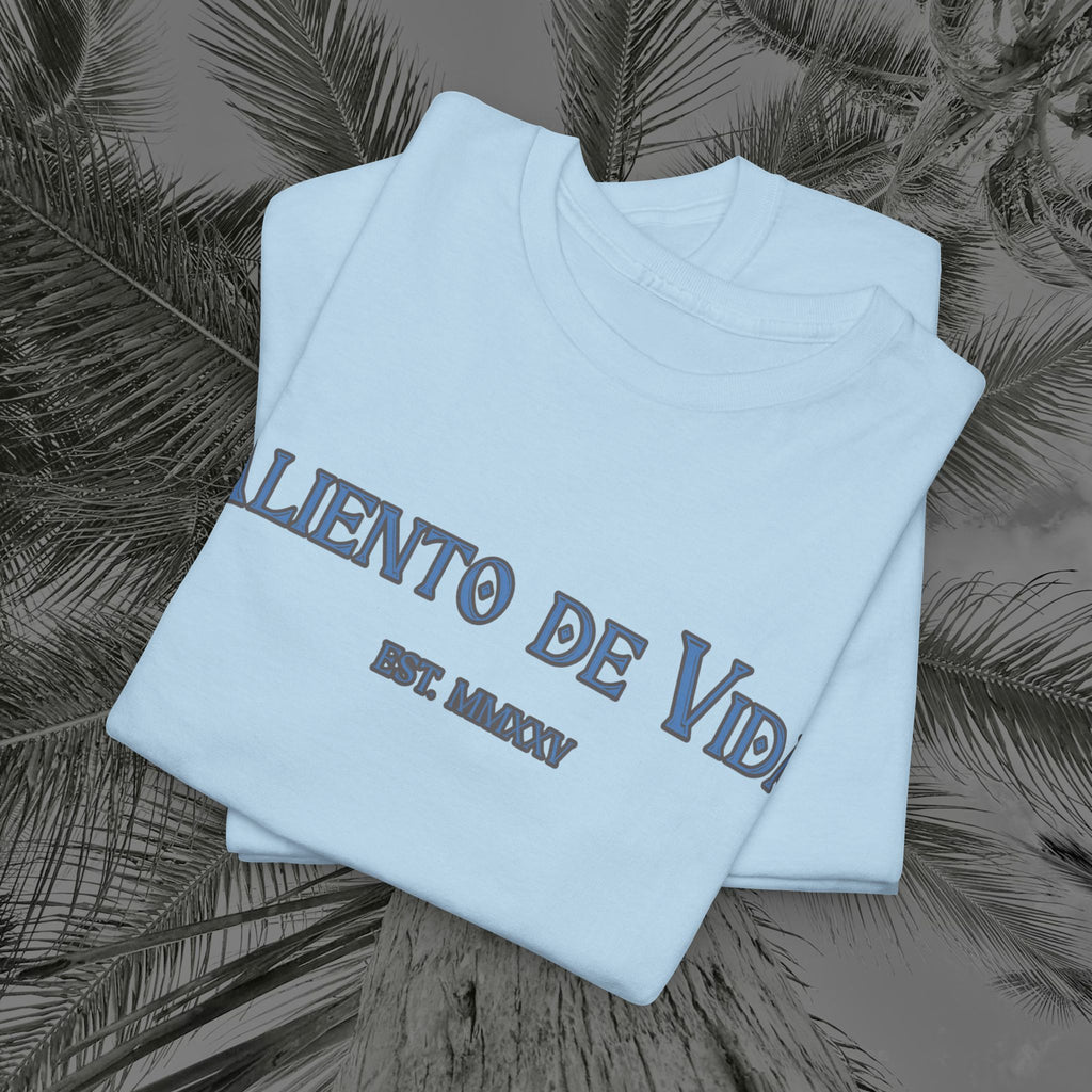 Always Pray - (UNISEX) Heavy Cotton Tee - Aliento De Vida