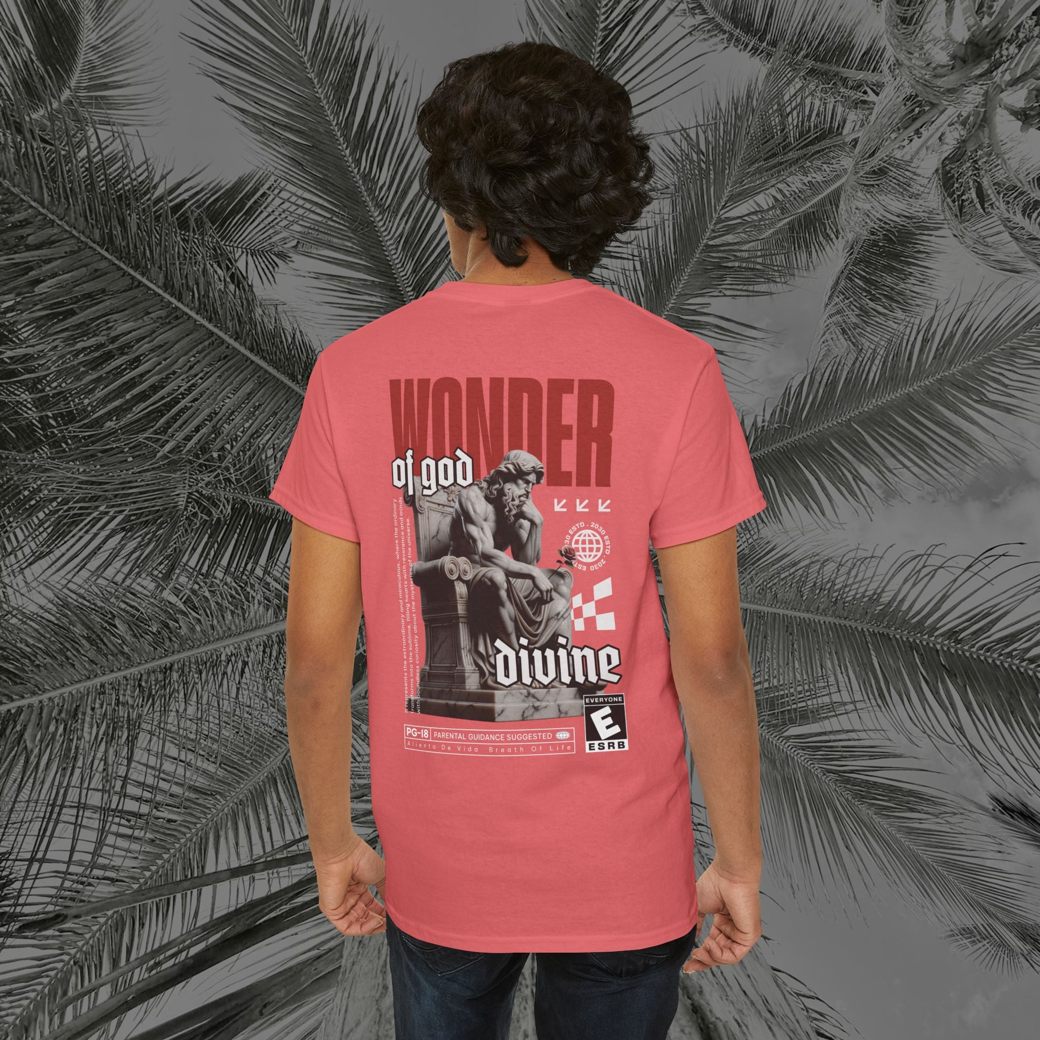 Throne of the Divine - (UNSEX) Heavy Cotton T-Shirt - Aliento De Vida