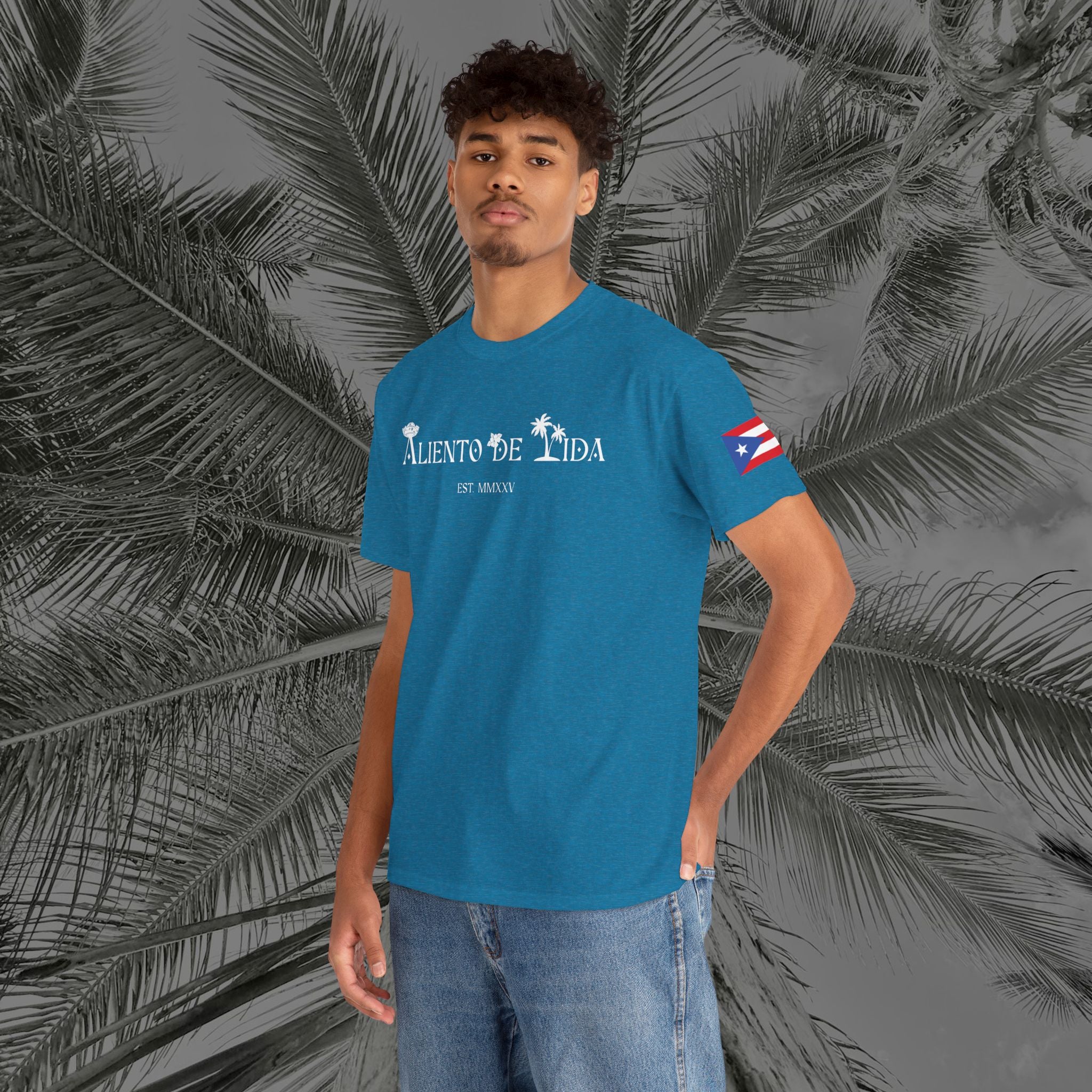 Island Cruiser - PR COLLECTION - (UNISEX) Heavy Cotton Tee - Aliento De Vida