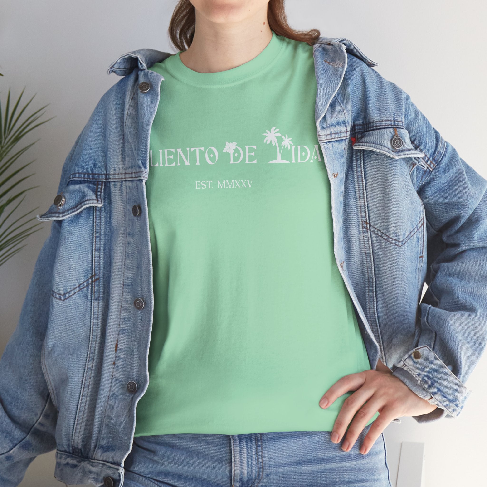 Island Cruiser - PR COLLECTION - (UNISEX) Heavy Cotton Tee - Aliento De Vida