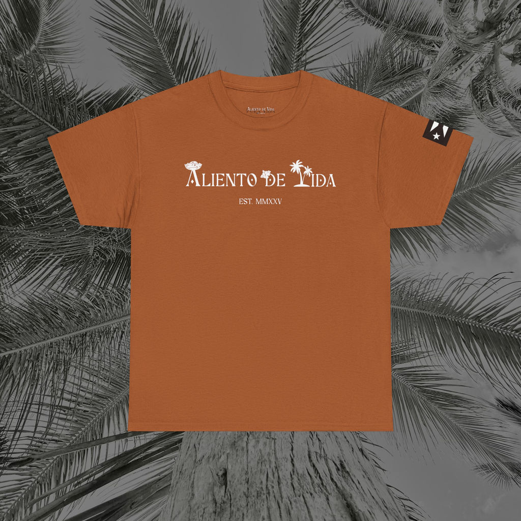 Coqui Love V2 - PR COLLECTION - (UNISEX) Heavy Cotton Tee - Aliento De Vida