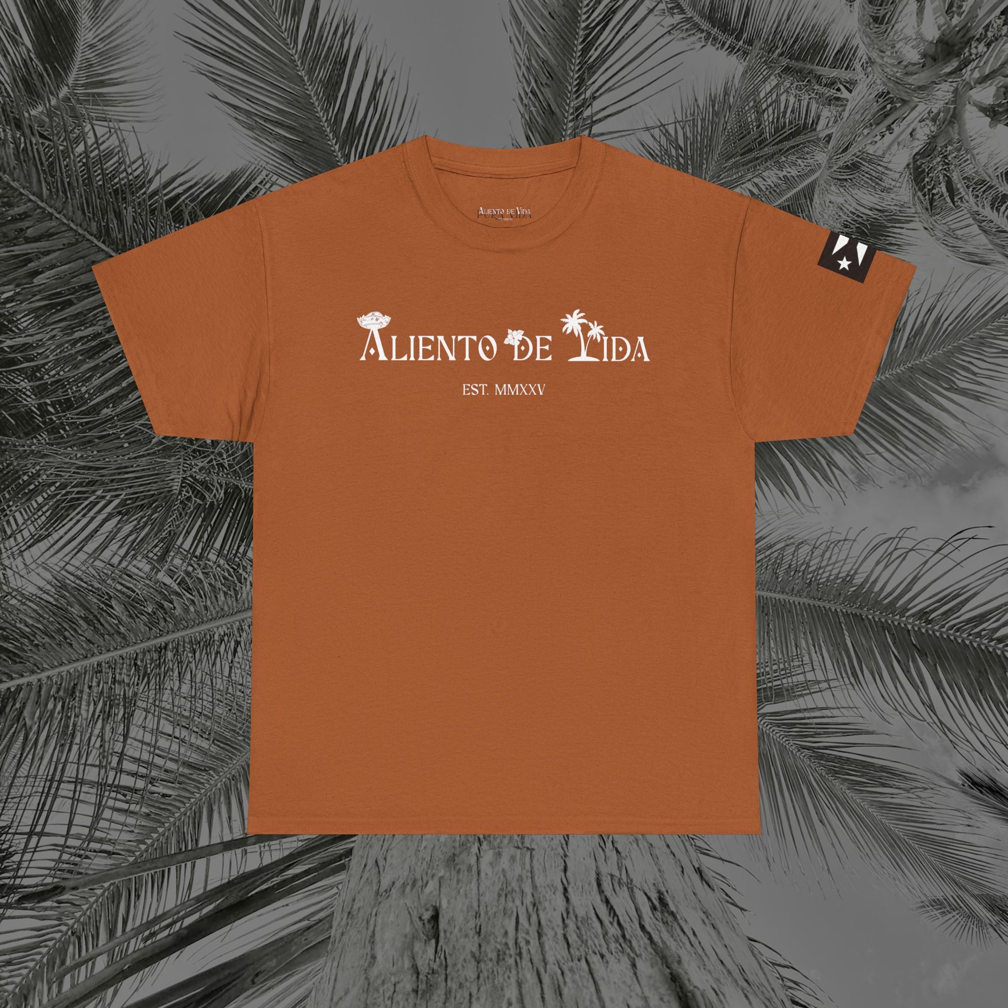 Coqui Love V2 - PR COLLECTION - (UNISEX) Heavy Cotton Tee - Aliento De Vida