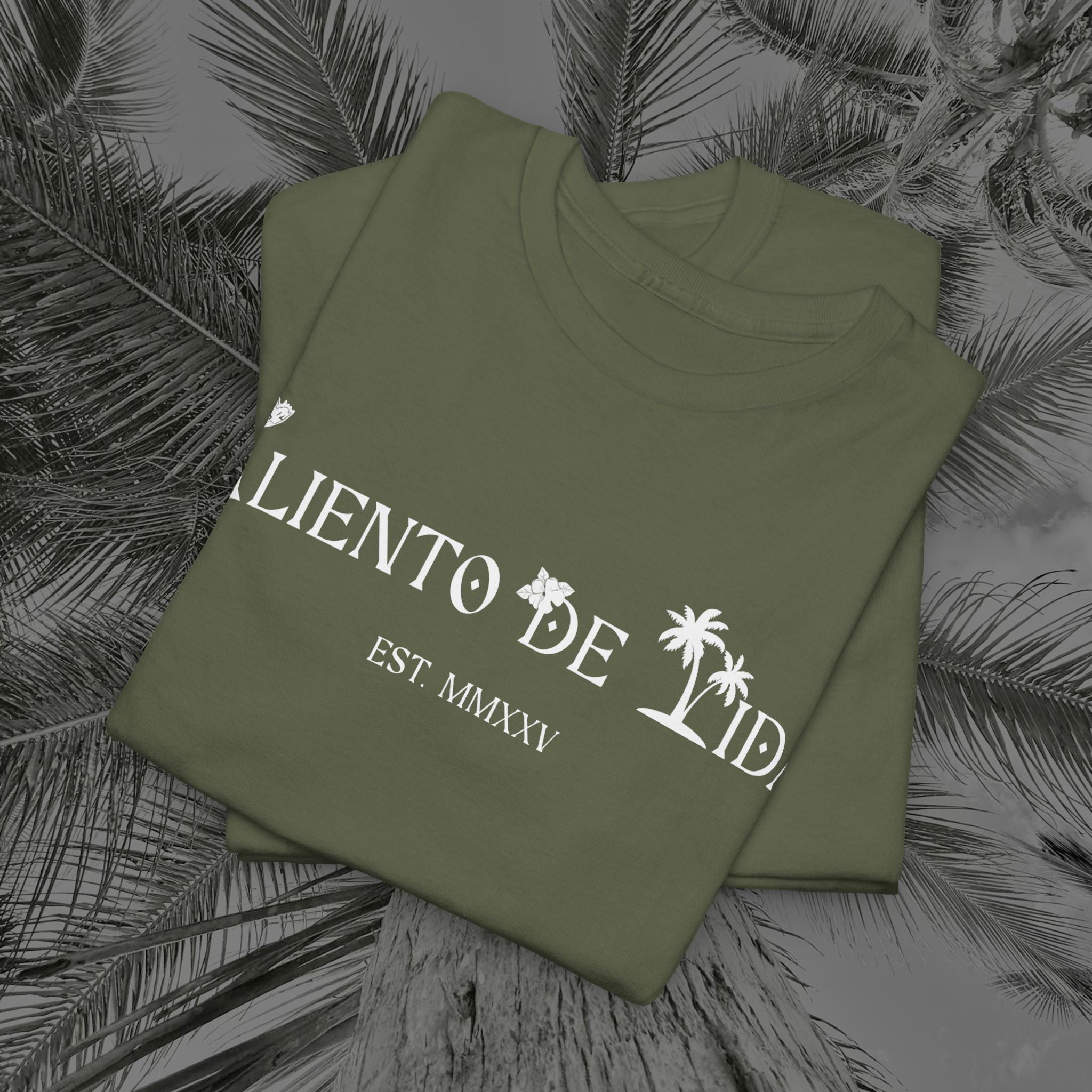 Coqui Love V2 - PR COLLECTION - (UNISEX) Heavy Cotton Tee - Aliento De Vida