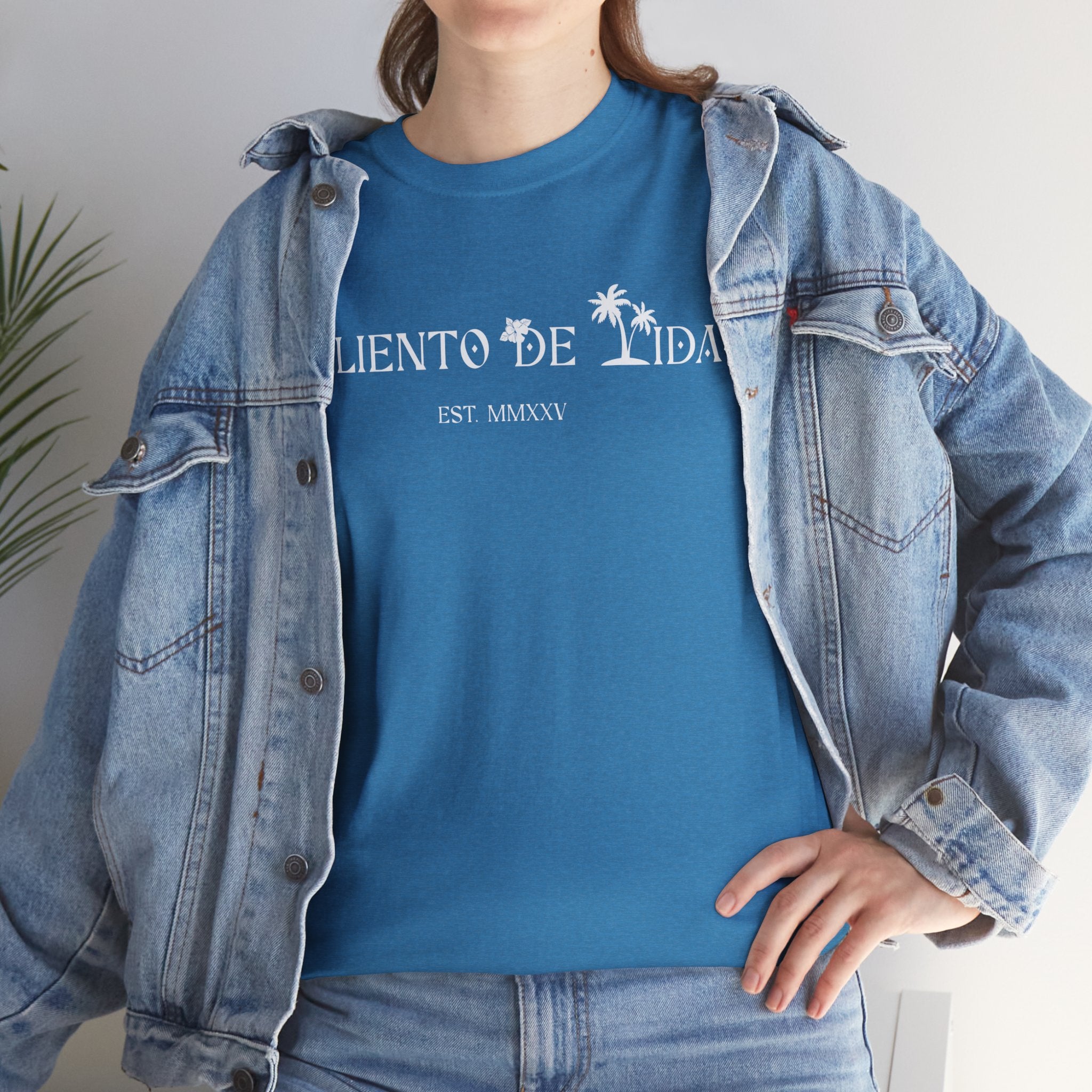 Island Cruiser - PR COLLECTION - (UNISEX) Heavy Cotton Tee - Aliento De Vida