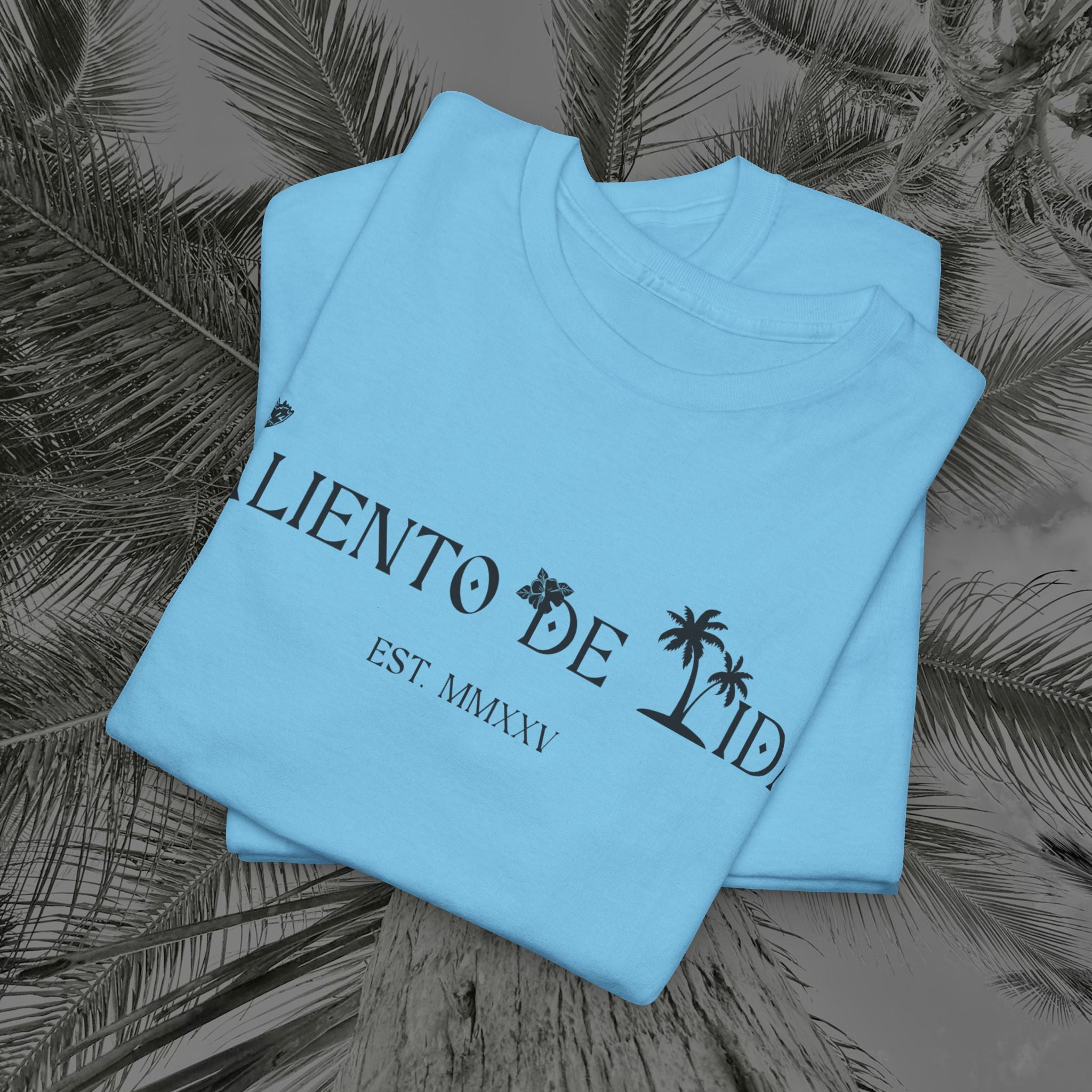 WE ARE PUERTO RICAN - PR COLLECTION - (UNISEX) Heavy Cotton Tee - Aliento De Vida