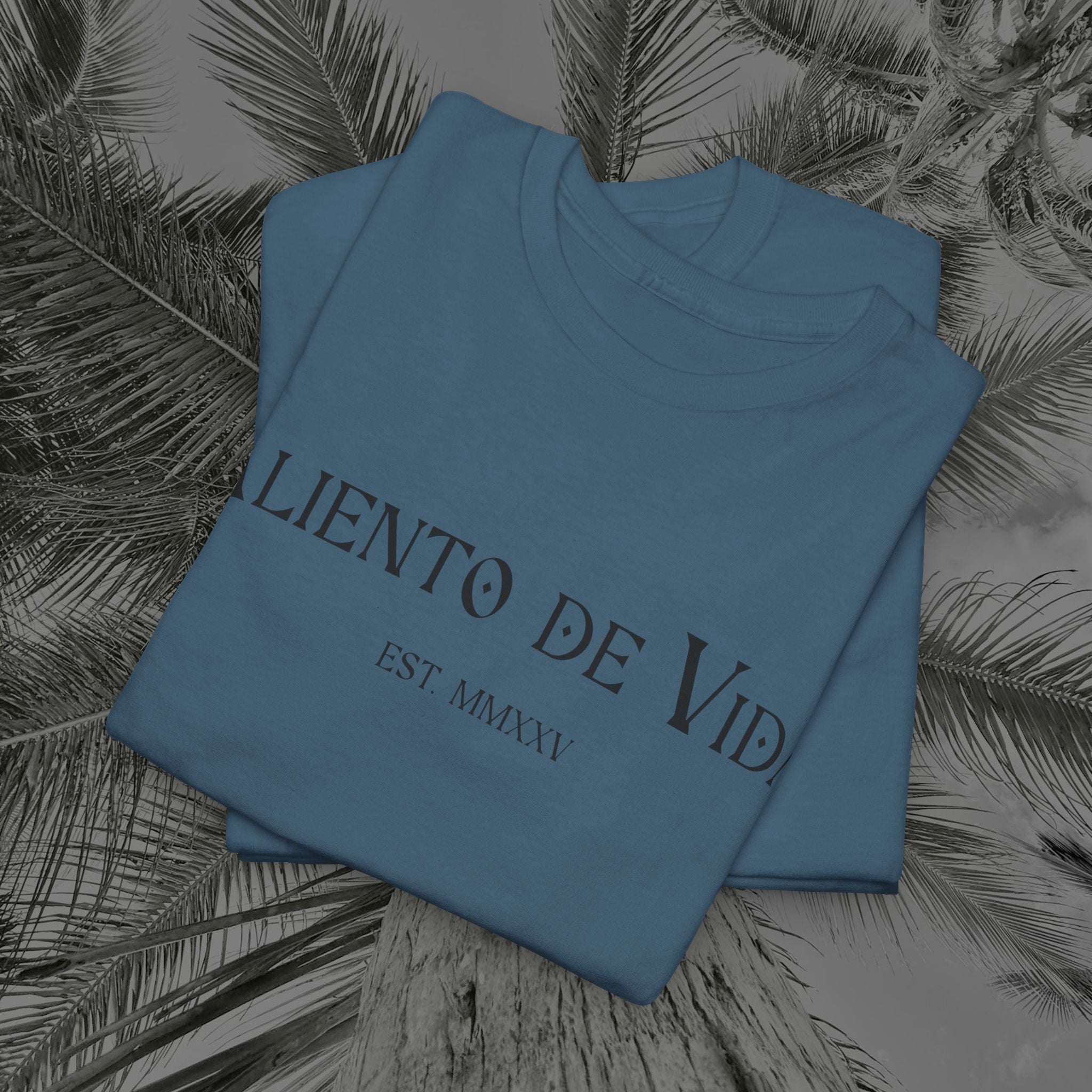 Wings of Grace - Back Design - Heavy Cotton Tee - Aliento De Vida