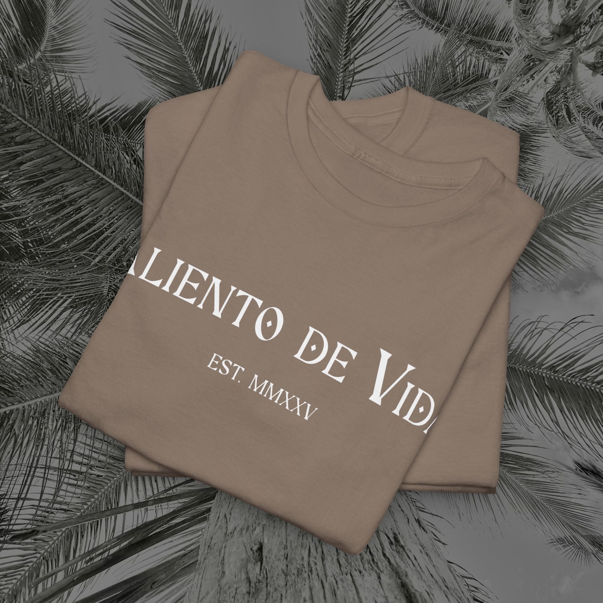 Throne of the Divine - (UNSEX) Heavy Cotton T-Shirt - Aliento De Vida