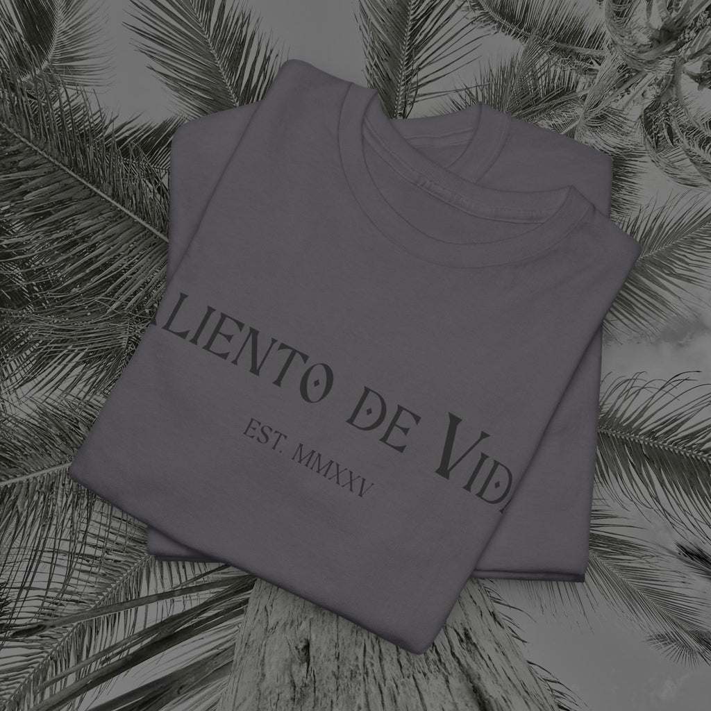 Capture The Moment - (UNISEX) Heavy Cotton Tee - Aliento De Vida
