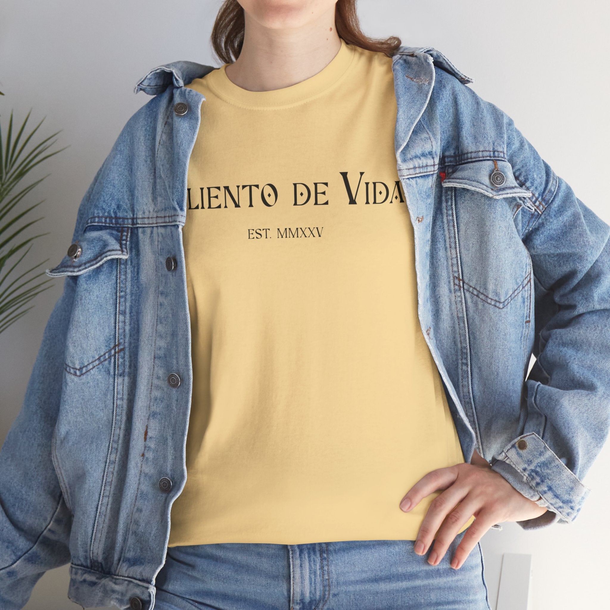 Climbing To New Heights - (UNISEX) Heavy Cotton T-Shirt - Aliento De Vida