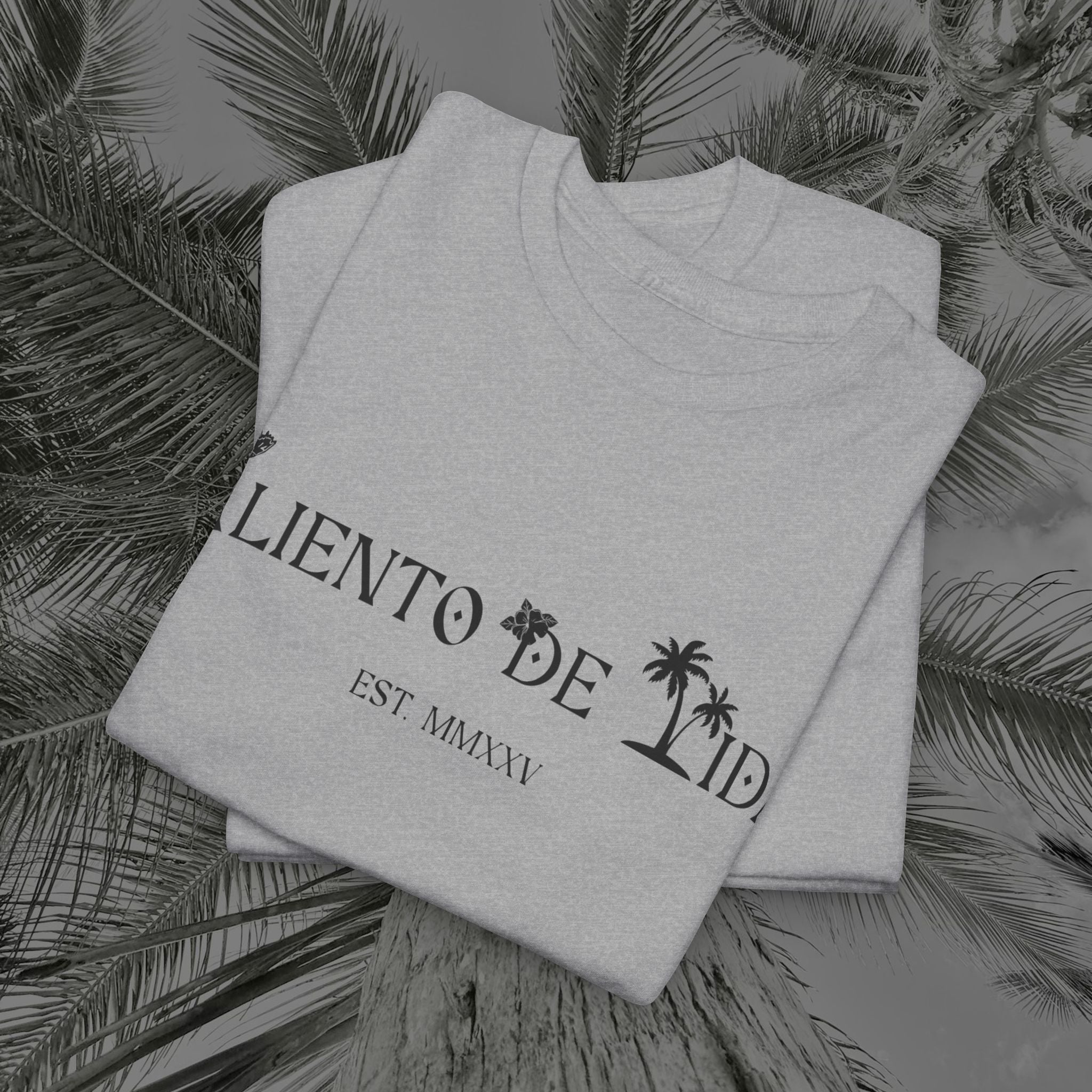 Coqui Crazy - PR COLLECTION - (UNISEX) Heavy Cotton Tee - Aliento De Vida